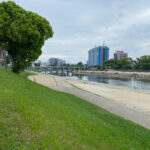 ジャパンCup:岡崎 レースノルディックウォーキング (愛知)