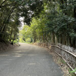 ジャパンCup：服部緑地公園 レースノルディックウォーキング 2024（大阪）