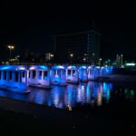 Japanカップ：岡崎 レースノルディックウォーキング 2025