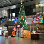 結果:  岡崎レースNW 2025 個人