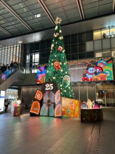 結果:  岡崎レースNW 2025 個人